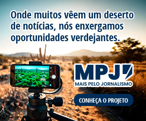 /apidata/imgcache/676934f3b347bb11ac29e12aa7bbf424.jpeg?banner=col4&when=1765189400&who=1